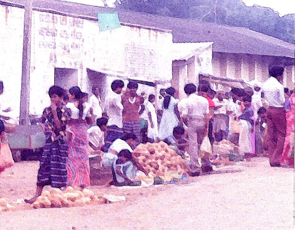 market day
                b